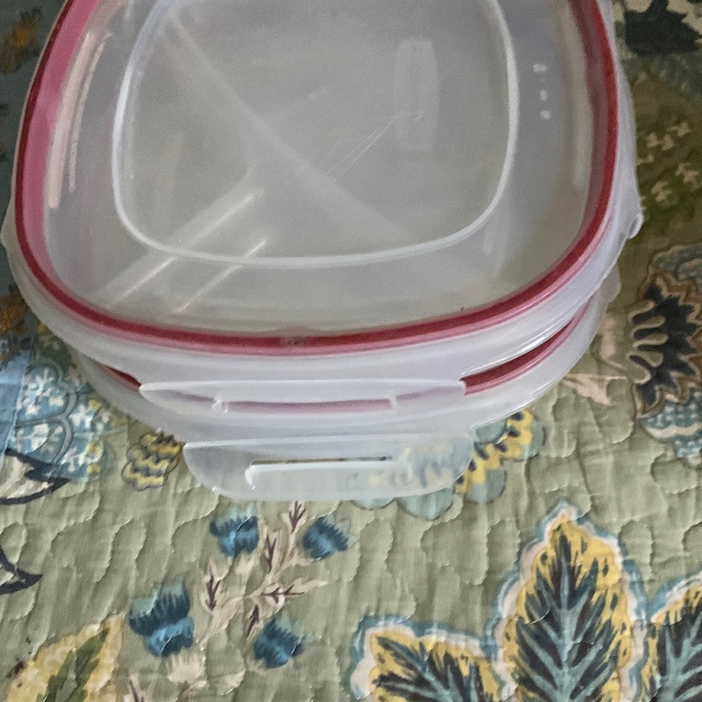 2 lunch containers